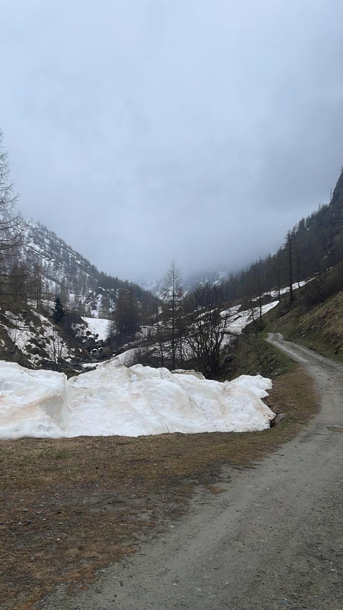Laghi Di Como Appartamento Di Licinia E Mario Asso Exterior photo