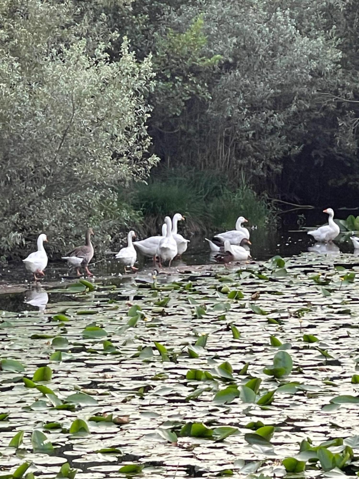 Laghi Di Como Appartamento Di Licinia E Mario Asso Exterior photo